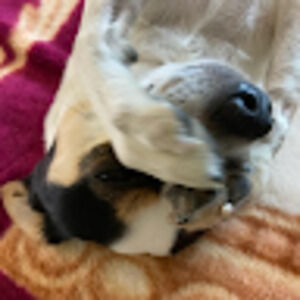 Meet your Posher, Stasi